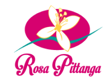 Rosa Pitanga